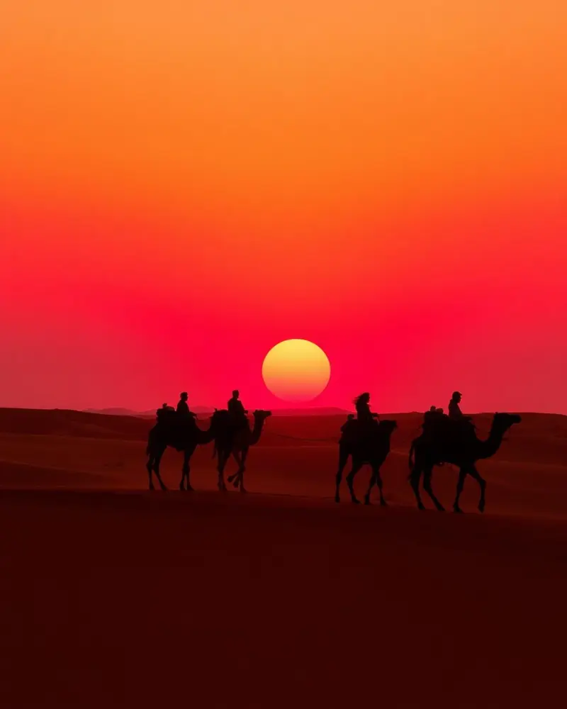 Browse Sahara Desert Tours on Marhaba