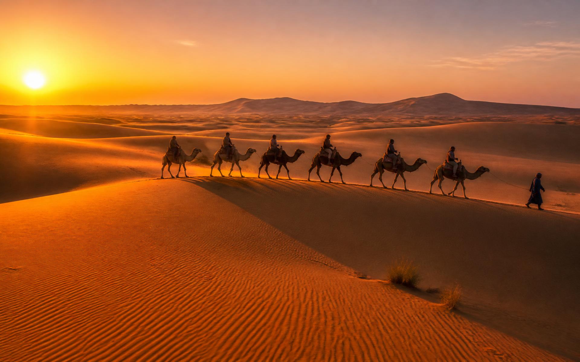 Sahara dunes at sunrise near Merzouga