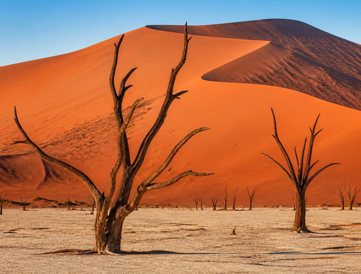 Desert landscape near Sossusvlei, Namibia