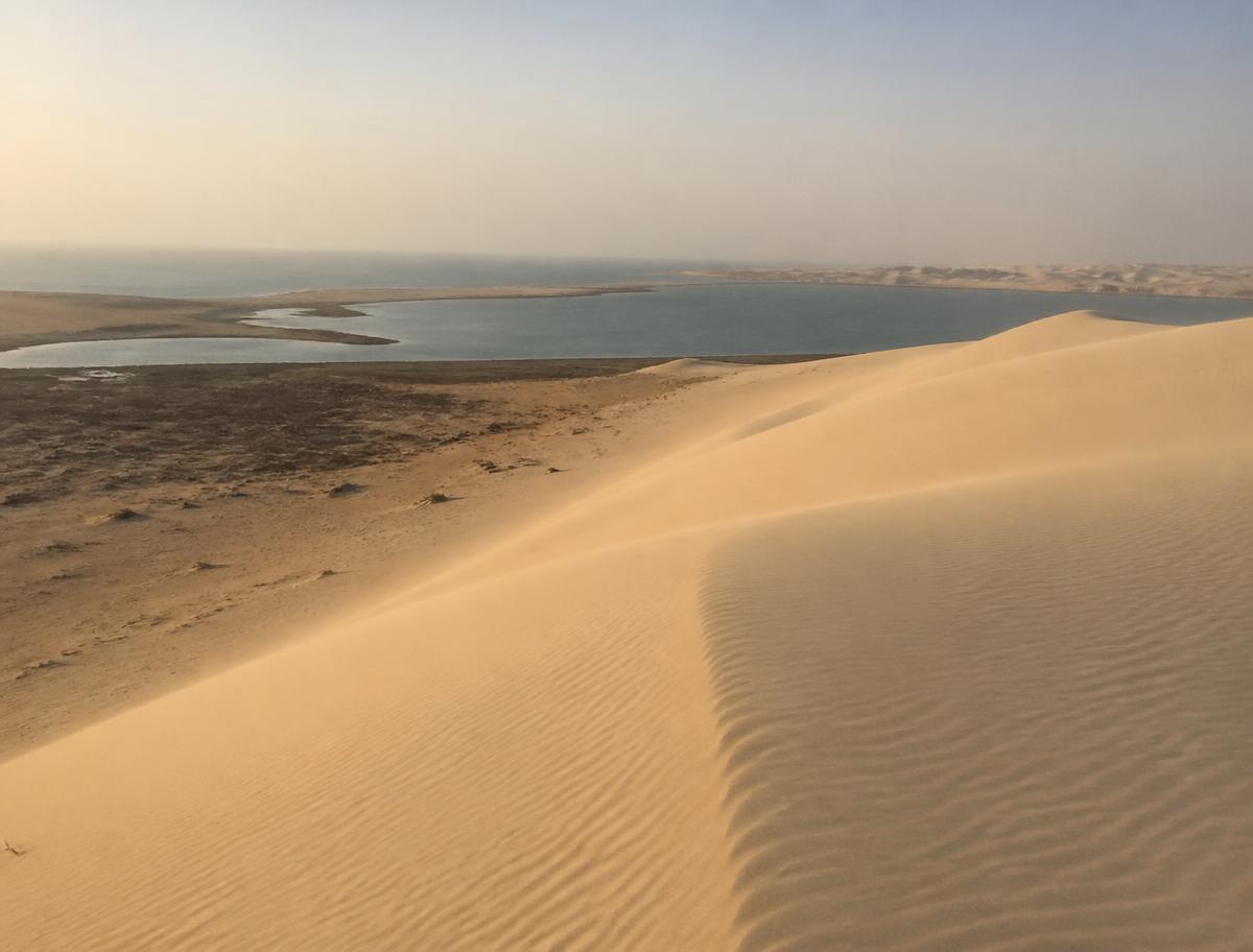 Desert landscape near Doha, Qatar