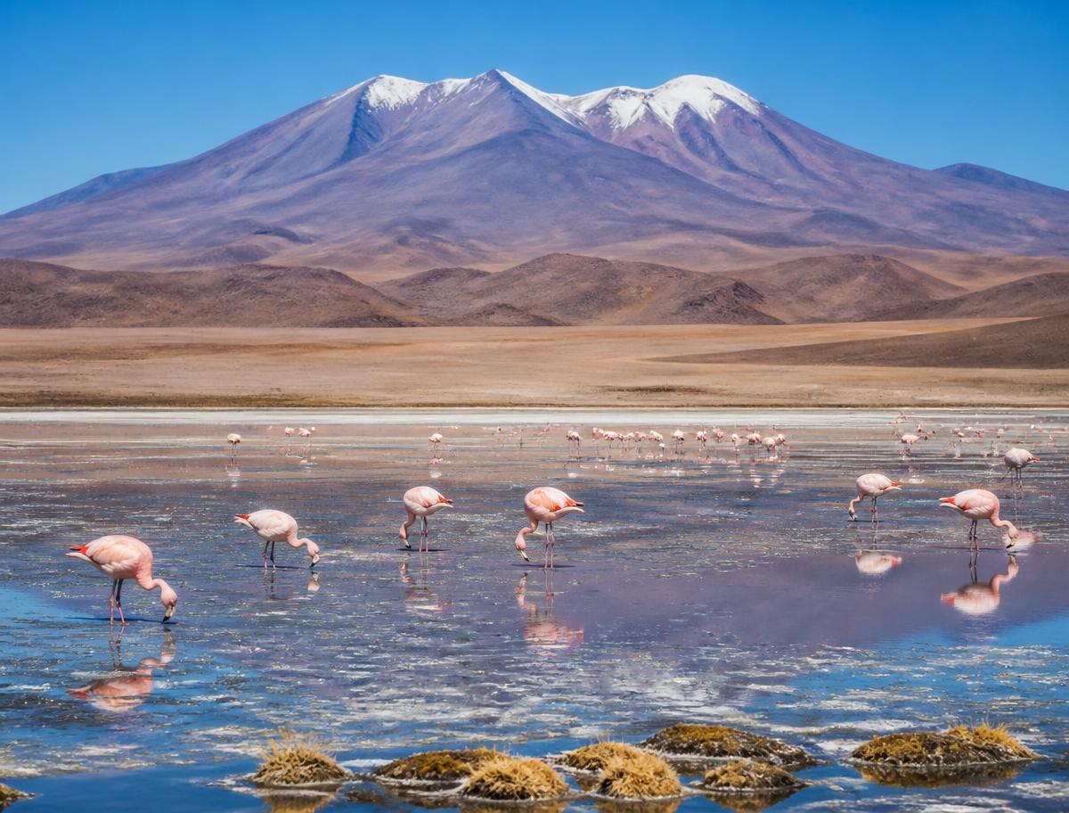 Flights to Calama, Chile