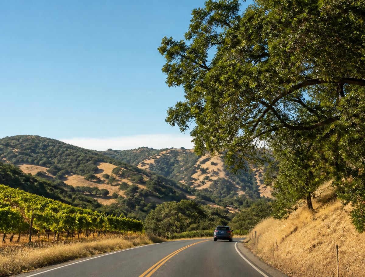 California wine country